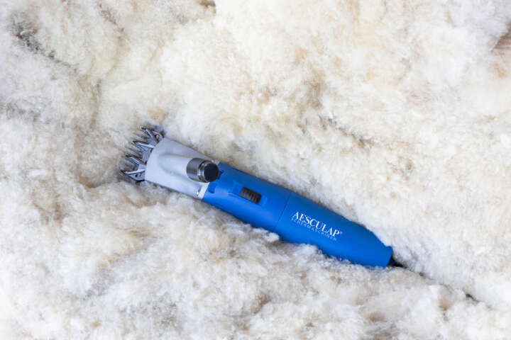 AESCULAP Schermaschine Econom Nova für Schafe